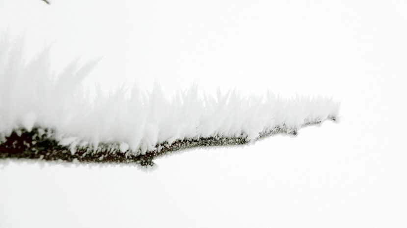 65chiciuraTZ41 - Magia iernii