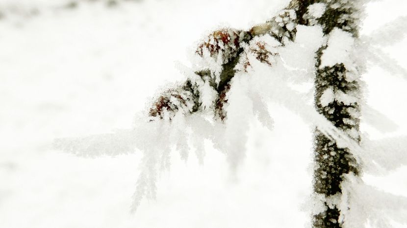 73chiciuraTZ41 - Magia iernii