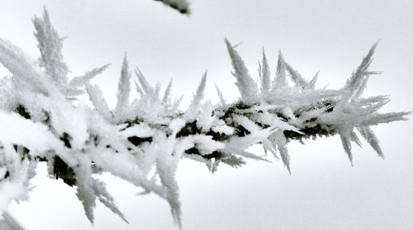 02chiciuraTZ61 - Magia iernii