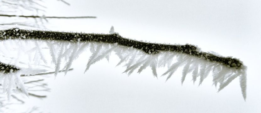 04chiciuraTZ61 - Magia iernii