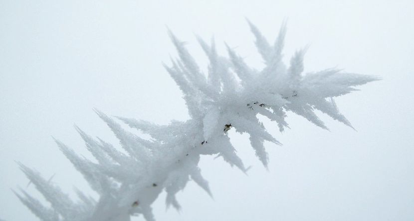 19chiciuraTZ61 - Magia iernii