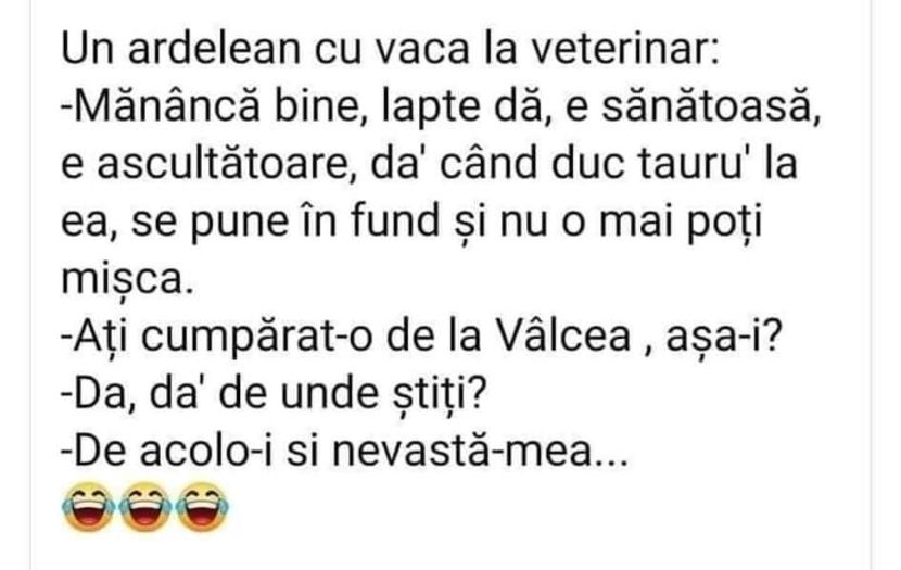  - Divertisment 6
