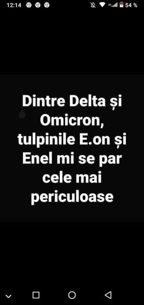 - Divertisment 6