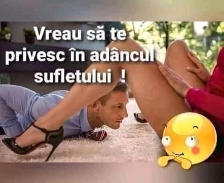  - Divertisment 6