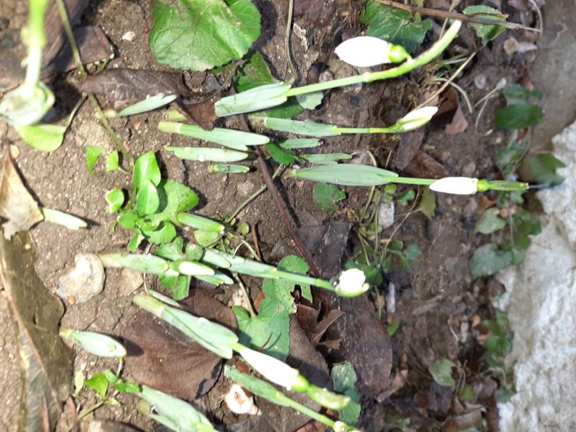  - La țară în ianuarie 2022