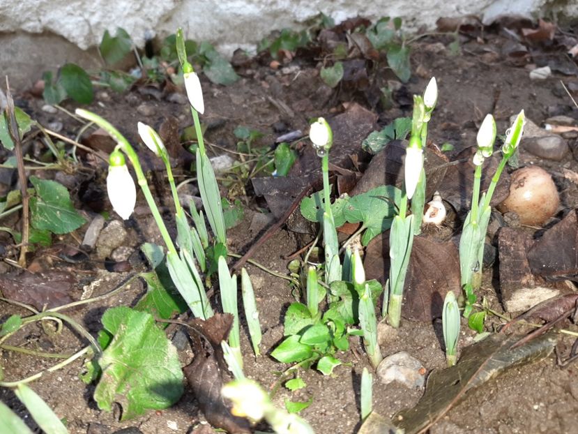  - La țară în ianuarie 2022