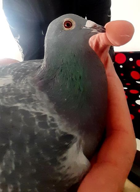 20220119_144923(0) - 2022