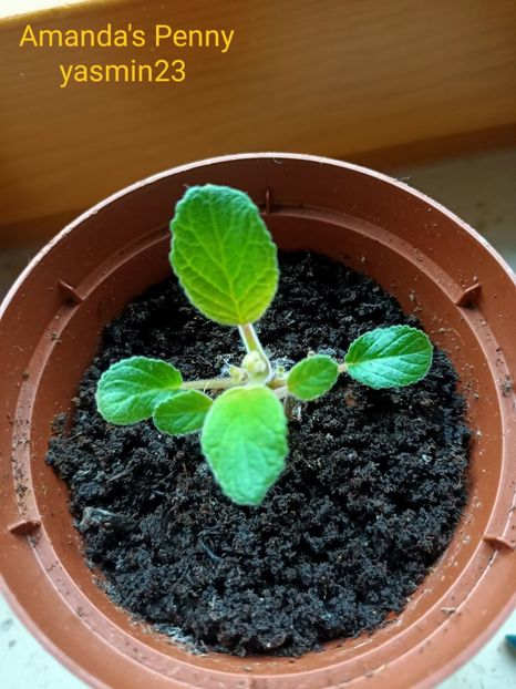 20.01.2022 - Renunț