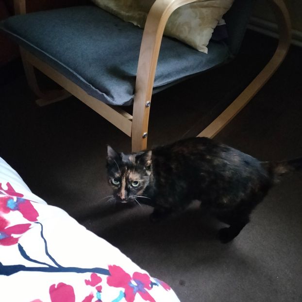 IMG20220117155730 - În vizită la Anca 2021-2022