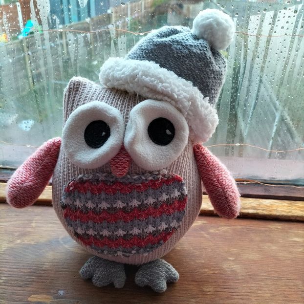 IMG20220116085245 - În vizită la Anca 2021-2022