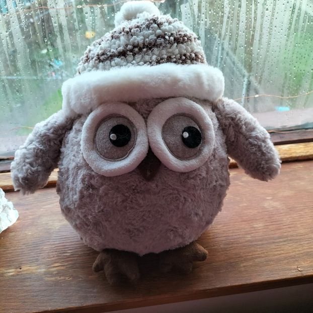 IMG20220116085148 - În vizită la Anca 2021-2022