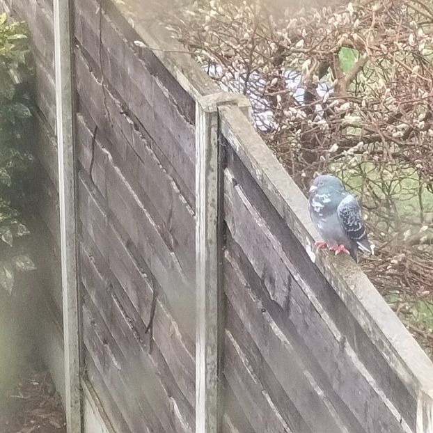 IMG20220106113507 - În vizită la Anca 2021-2022