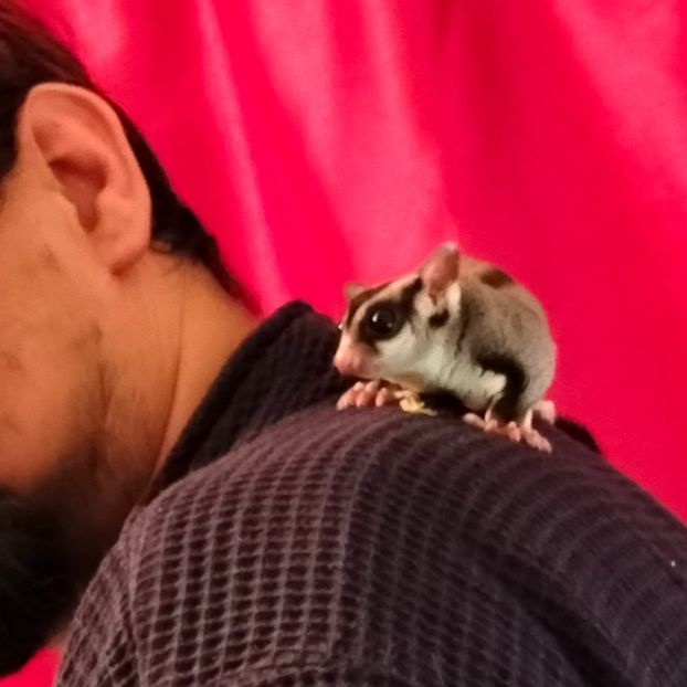 IMG20220104230612 - În vizită la Anca 2021-2022