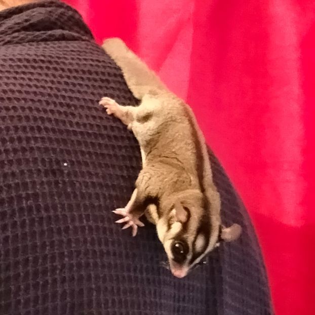 IMG20220104230147 - În vizită la Anca 2021-2022