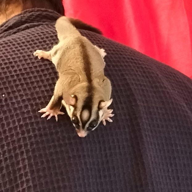 IMG20220104230139 - În vizită la Anca 2021-2022