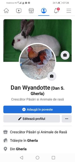  - A Facebook Dan Wyandotte RO