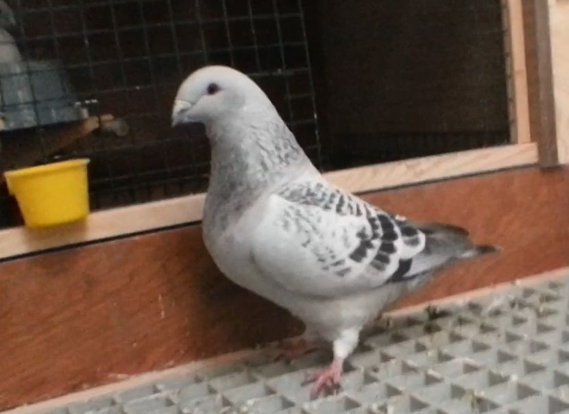 3 Archiwum - h- MLODE -2021- Youth