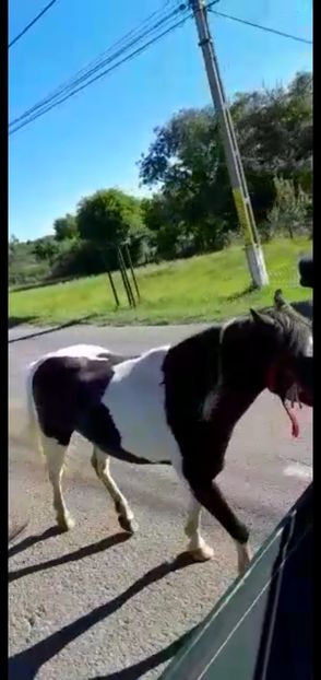 Screenshot_20220127-061512_WhatsApp - Ponei