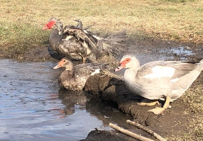 Screenshot_20220129-173812_WhatsApp - 0001 matca 2022 lot 2