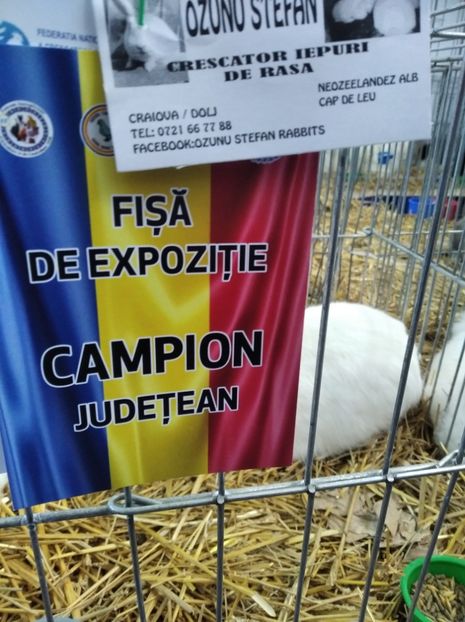  - Expoziția Județeană Fauna Bănie 2022