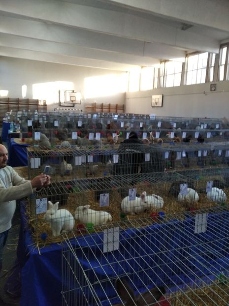  - Expoziția Județeană Fauna Bănie 2022