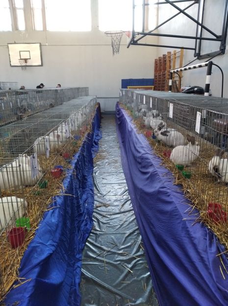  - Expoziția Județeană Fauna Bănie 2022