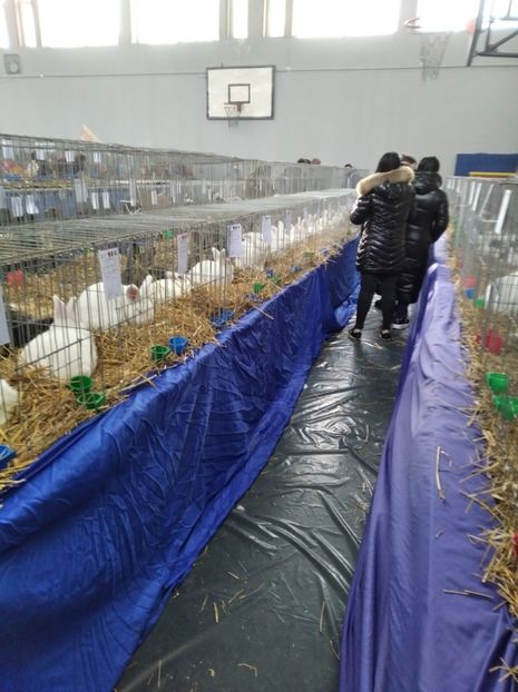  - Expoziția Județeană Fauna Bănie 2022