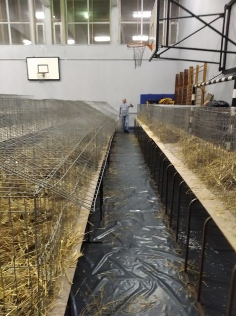  - Expoziția Județeană Fauna Bănie 2022