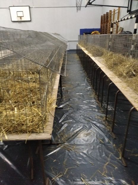  - Expoziția Județeană Fauna Bănie 2022