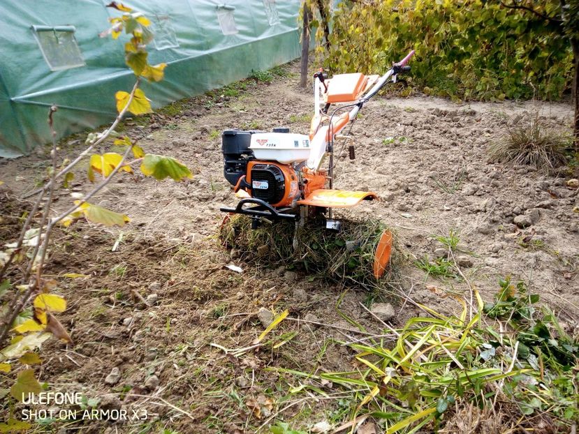  - Patakmenti-Hóstát kis gazdaság