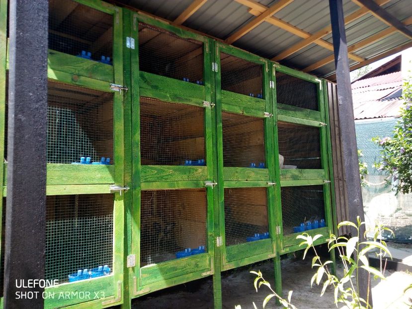  - Patakmenti-Hóstát kis gazdaság