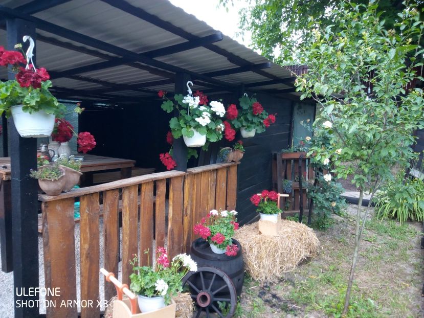  - Patakmenti-Hóstát kis gazdaság