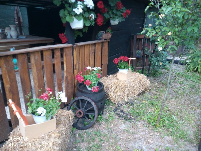  - Patakmenti-Hóstát kis gazdaság