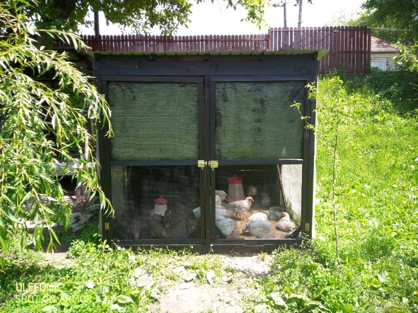  - Patakmenti-Hóstát kis gazdaság