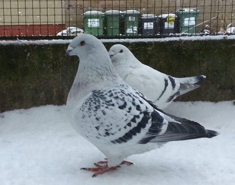 25 Archiwum - h- MLODE -2021- Youth