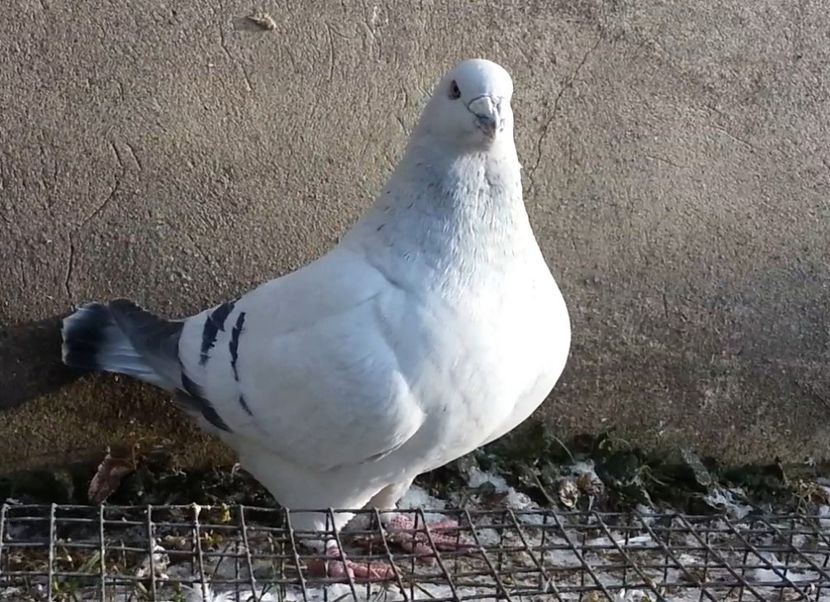 7 Archiwum - h- MLODE -2021- Youth