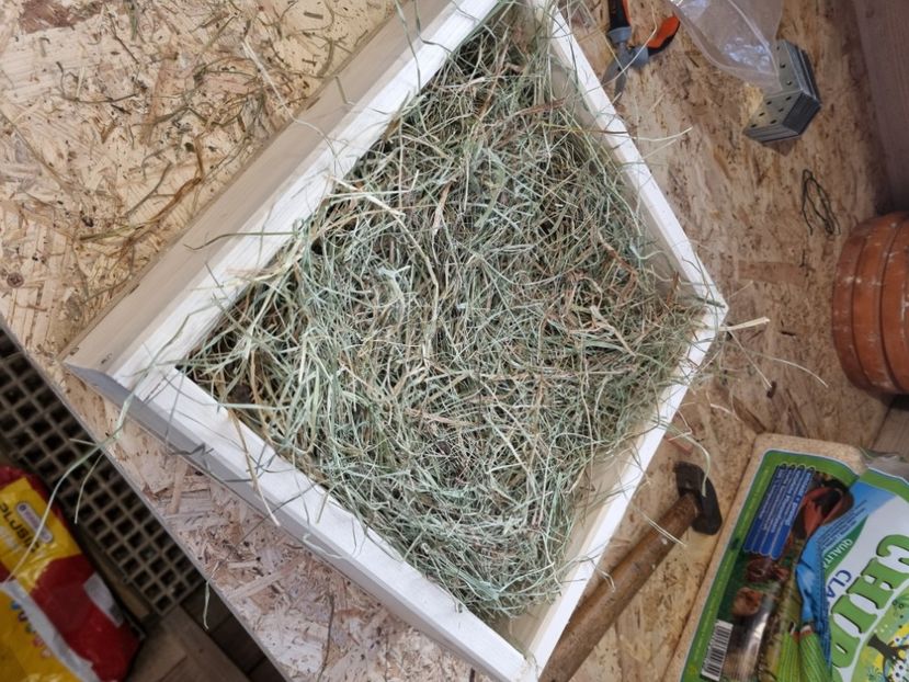  - VOLIERA DE LA BLOC