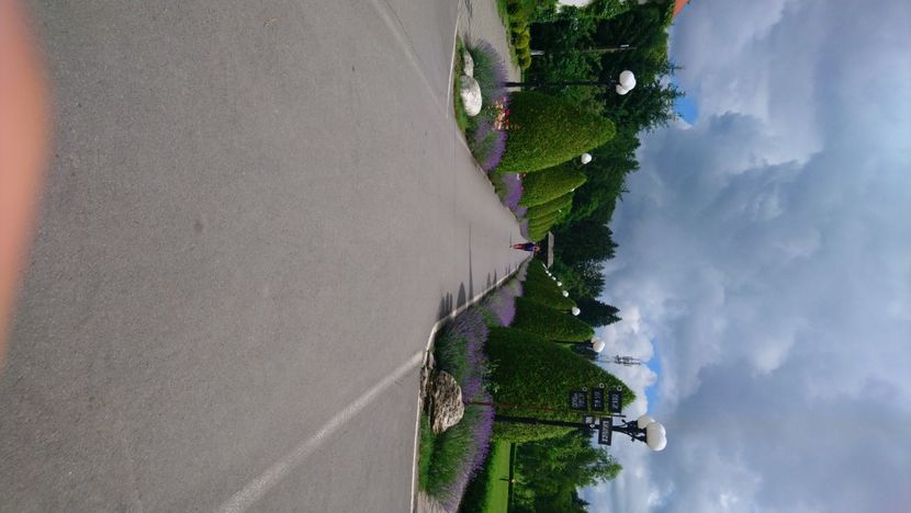  - 2021 SÂMBĂTA DE SUS ȘI SINAIA