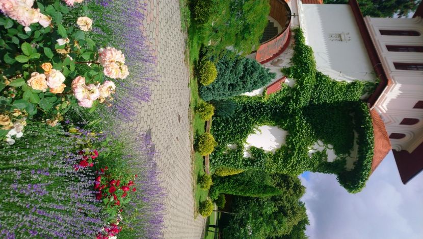  - 2021 SÂMBĂTA DE SUS ȘI SINAIA