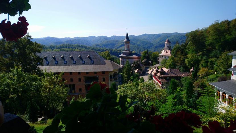  - 2021 MARAMUREȘ