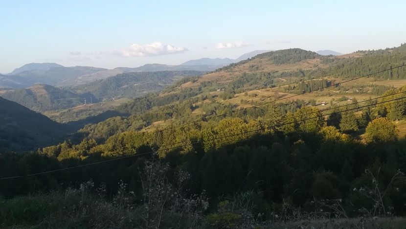  - 2021 MARAMUREȘ