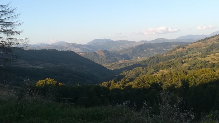  - 2021 MARAMUREȘ