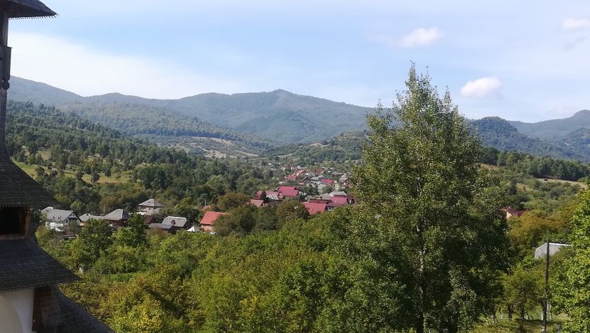  - 2021 MARAMUREȘ