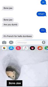  - get wasted until my mind s erased