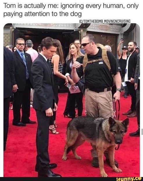  - get wasted until my mind s erased