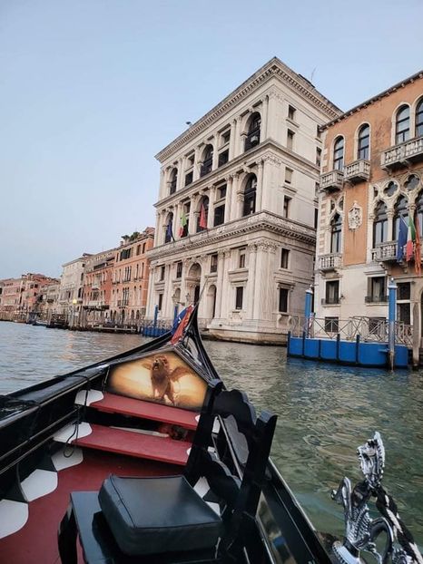 758B64DE-1D1F-433E-9925-EACF20E002F7 - VeniceUdineItaly2021