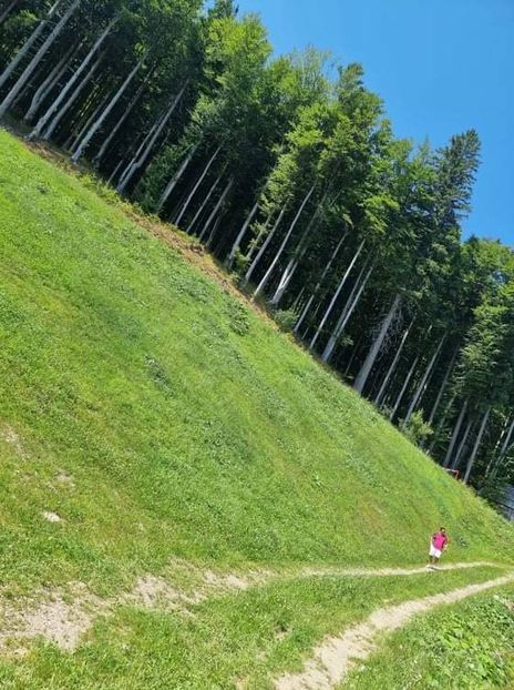 15B1B479-C969-4678-BBB6-6517B2062FF2 - VeniceUdineItaly2021