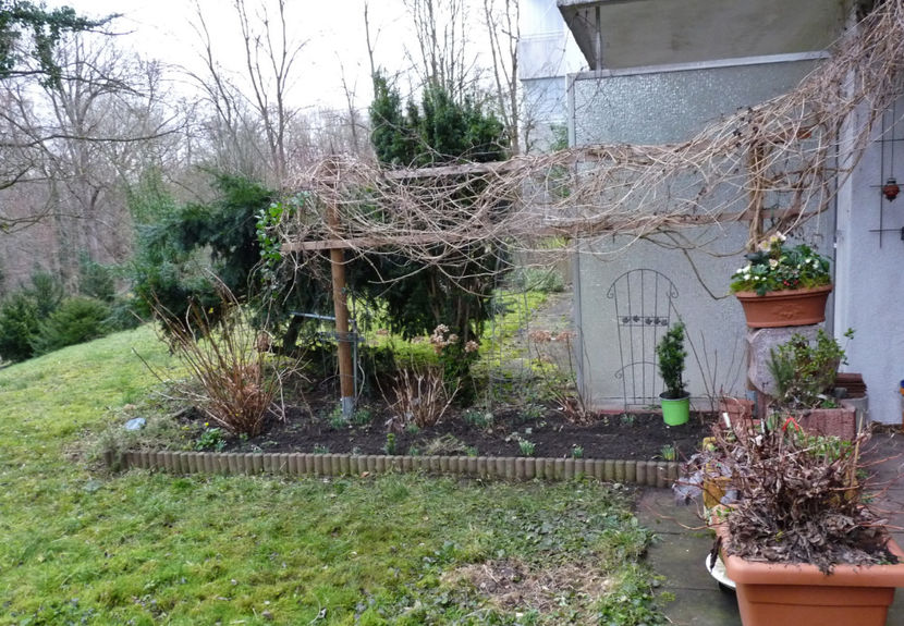 03.Februarie - 2021 - 04 - 2022 - 00 - Iarna