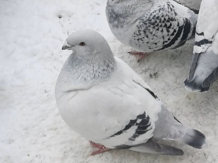 5 Archiwum - h- MLODE -2021- Youth