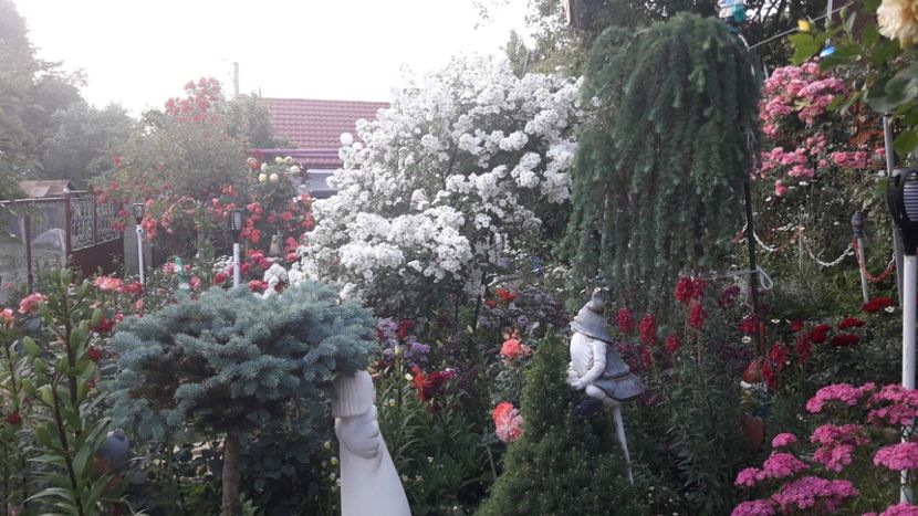  - ALBUM FINAL GRADINA 2021